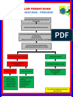 ALUR PEMANTAUAN Pendatang