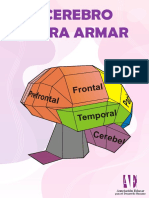 AE Cerebro para Armar