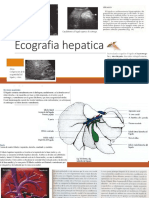 Ecografía Hepática