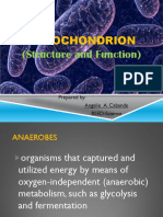 Mitochondrion: (Structure and Function)