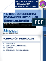 18-Formación Reticular-2016