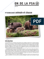 position_protection_animale_chasse