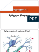 პრაქტიკული 1 ნერვული