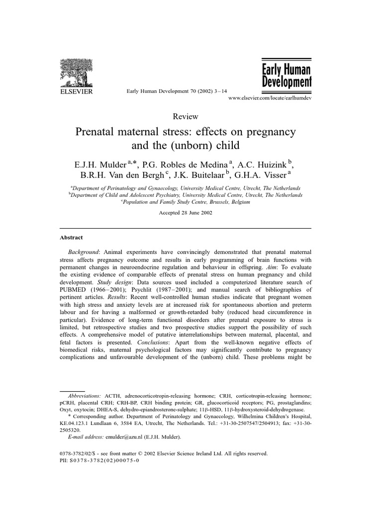 Impact of Prenatal Stress on Pregnancy | PDF | Fetus | Stress (Biology)