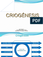 Criogénesis y Taller