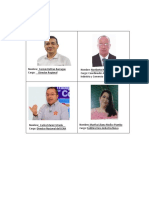 Organigrama Del Sena PDF