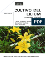 lilium.pdf