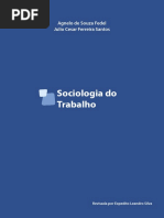Sociologia do Trabalho