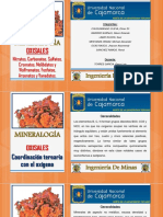 Oxisales-PPT.pdf