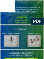 Museo Entomológico Nacional