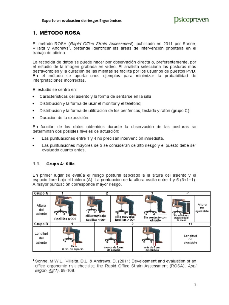Herramienta ROSA Rapid Office Strain Assessment | PDF | Informática ...