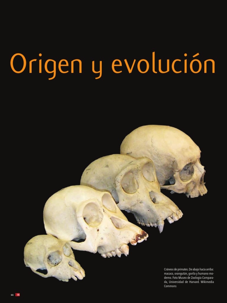 Perez, S. I. - Origen y Evolución de Los Humanos. La Historia de La ...