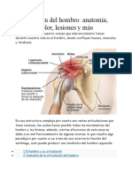 Articulación Del Hombro