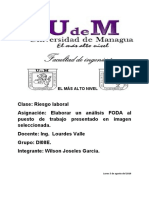 Analisis FODA Del Puesto de Trabajo PDF
