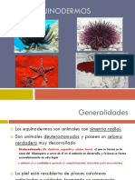 013 Clasif Biol Eechinodermata PDF
