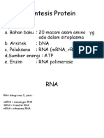 SINTESIS PROTEIN