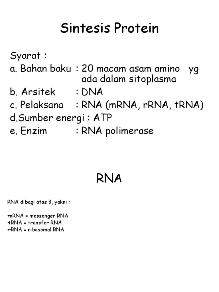Sintesis Protein | PDF | Sains & Matematika