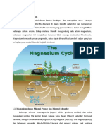 2517 - Dinamisasi Magnesium