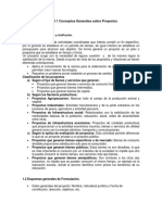 Unidad 1 Conceptos Generales Sobre Proyectos