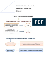 Plazos de Proceso Sumarisimo