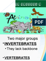 ANIMAL KINGDOM Invertebarates