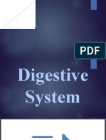 Digestive System