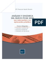 Analisis Dinamica Del Nuevo PCGE 2020 - Pascual Ayala