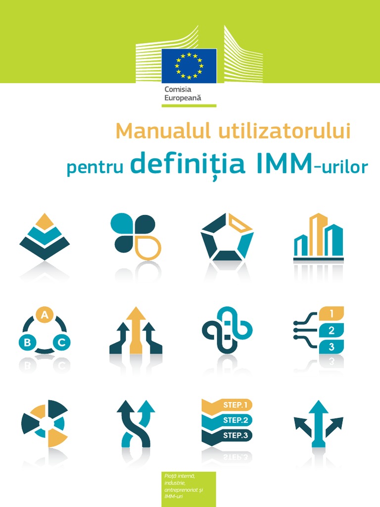 Sme Definition User Guide Ro PDF | PDF
