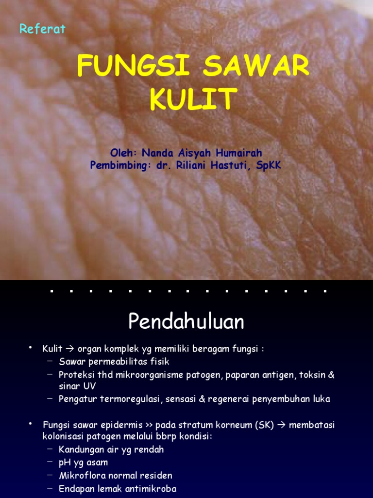 Fungsi Sawar Kulit dan Imunitas | PDF