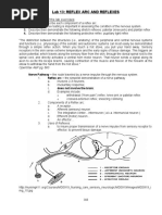 Grading Deep Tendon Reflexes Guide | PDF | Anatomical Terms Of Motion ...