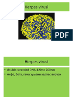 Herpes Virusi