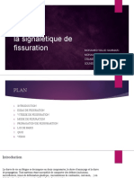 La Signalétique de Fissuration