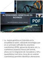ALTERACIONES GENETICAS EN BOVINOS.pdf
