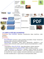 zooo esquema_grados_organizacion.pdf