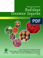 M-46 Petunjuk Teknis Budidaya Tanaman Sayuran.pdf