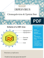Herpesvirus