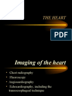 P5 - Angiocardiography