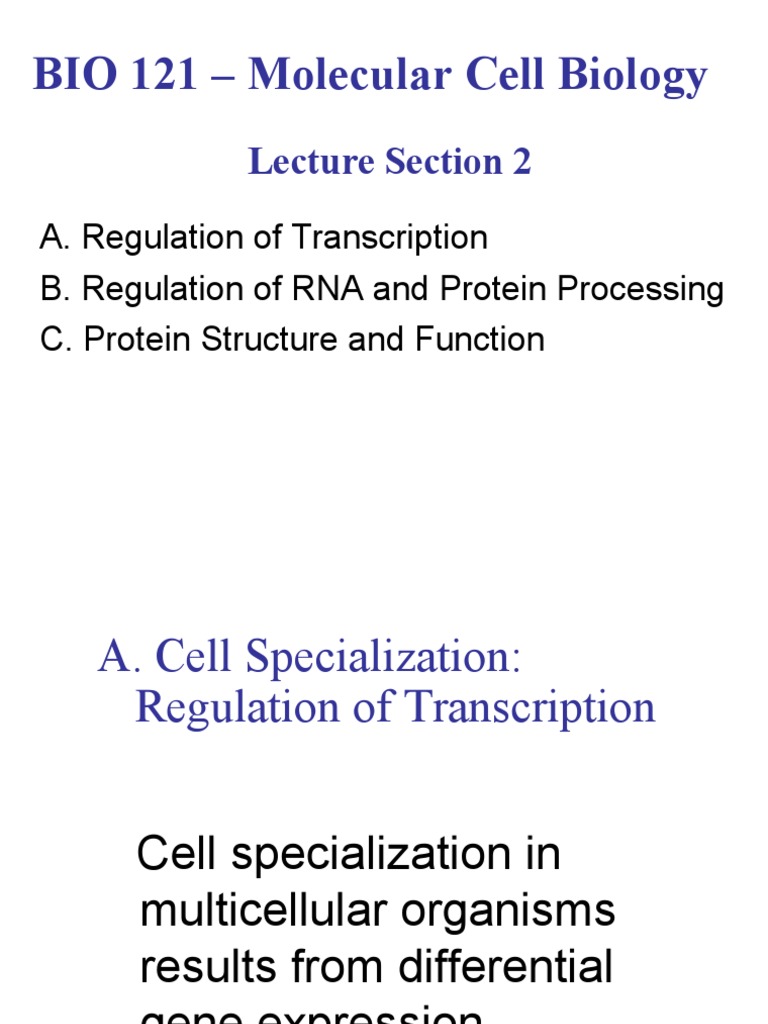 121 Lecture Section 2 | PDF | Rna Splicing | Messenger Rna