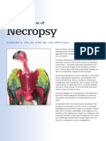 26 Necropsy PDF