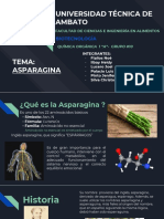 Asparagina Presentación - Grupo #10