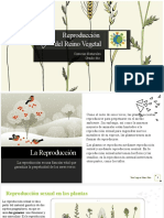 Reproducción en El Reino Vegetal - Diapositivas