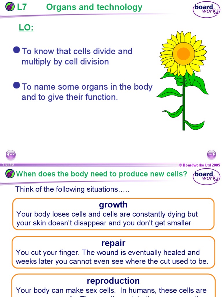 To Know That Cells Divide and Multiply by Cell Division To Name Some ...