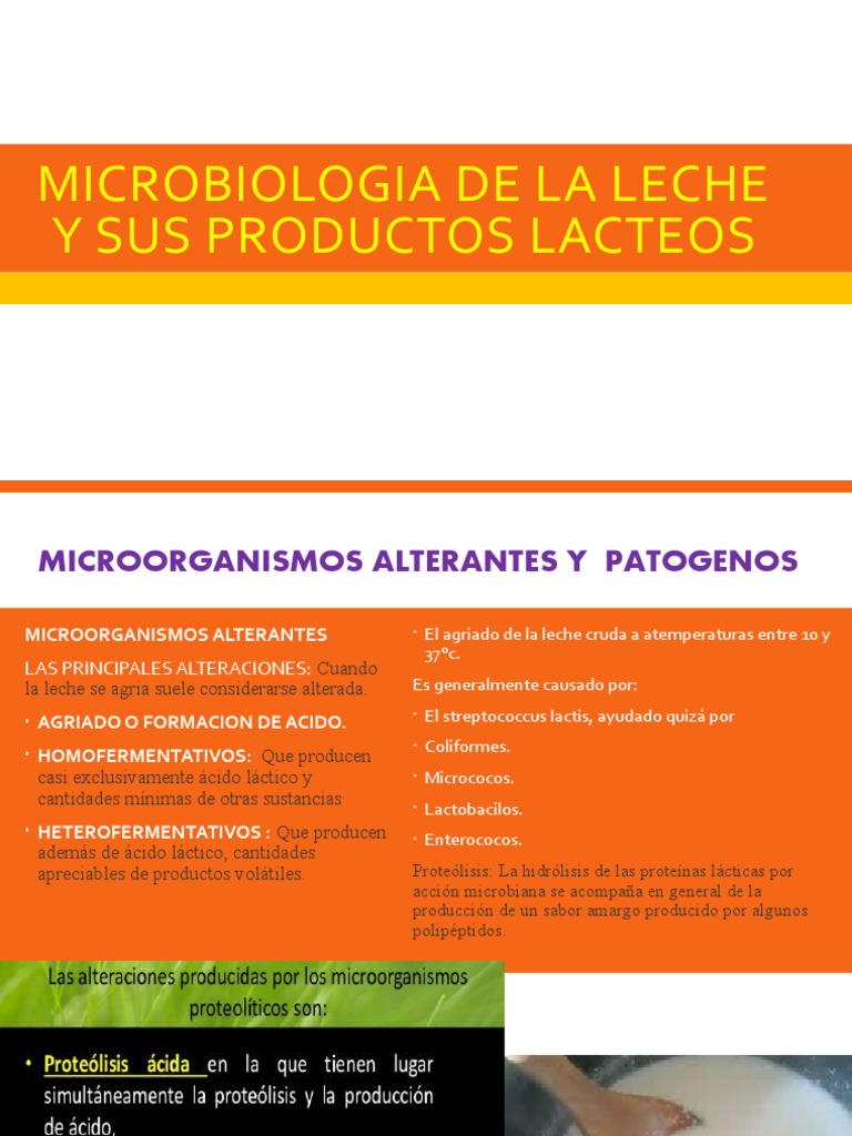 Microbiología de la Leche y Alteraciones | PDF | Salmonela | Leche