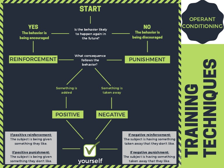 Operant Conditioning Training Techniques | PDF