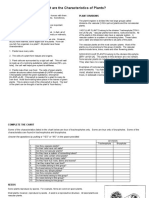 Plants Worksheet