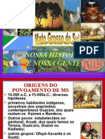 História de Mato Grosso Do Sul