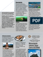 Trictico Administracion PDF