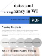 Opiates and Pregnancy in Wi