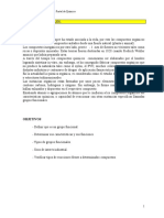 Inf_Grupos_funcionales.doc