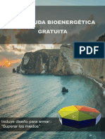 Caja Bioenergetica PDF